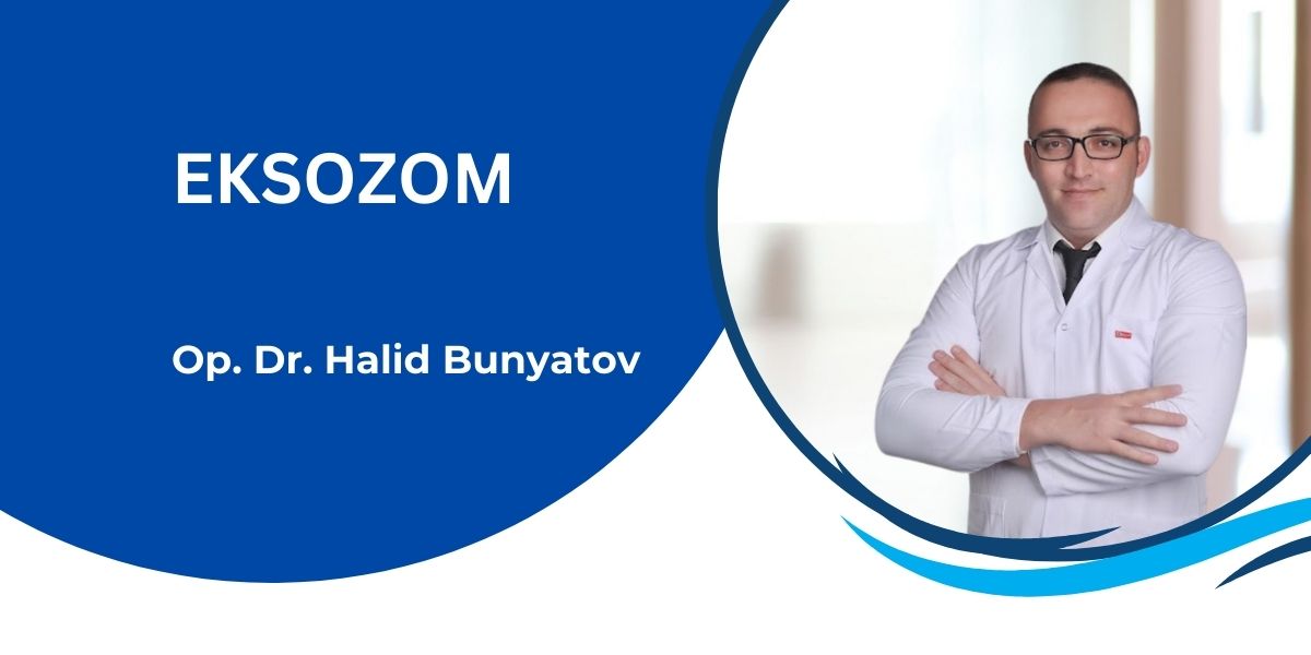 eksozom