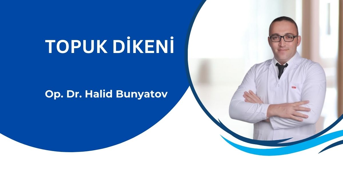 Topuk Dikeni